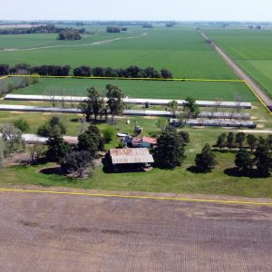 En venta granja avícola en actividad  capacidad para 70.000 aves 8 hectáreas