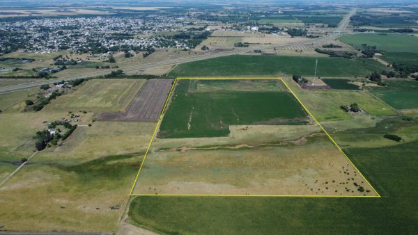 En venta: 30 hectáreas de campo con  cantera en la  Ciudad de Arrecifes a 400m de Autopista RN 8 - Imagen 2