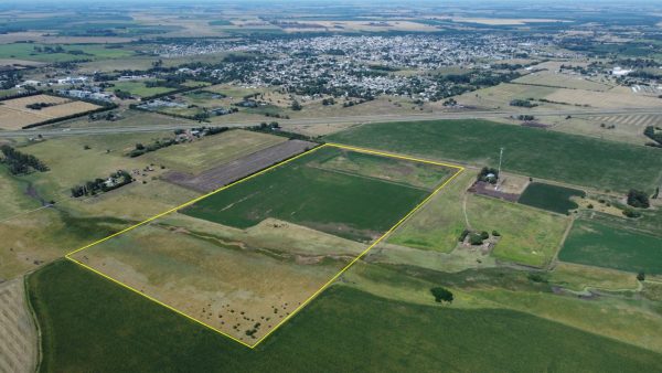 En venta: 30 hectáreas de campo con  cantera en la  Ciudad de Arrecifes a 400m de Autopista RN 8 - Imagen 3