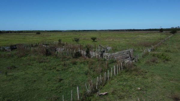 En venta: 121 hectáreas 17% agrícola, 83% ganadero Ingeniero Moneta San Pedro - Imagen 9