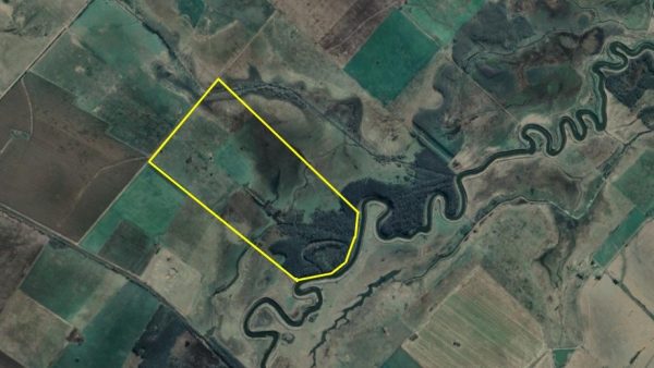 En venta: 121 hectáreas 17% agrícola, 83% ganadero Ingeniero Moneta San Pedro - Imagen 14
