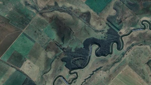 En venta: 121 hectáreas 17% agrícola, 83% ganadero Ingeniero Moneta San Pedro - Imagen 13