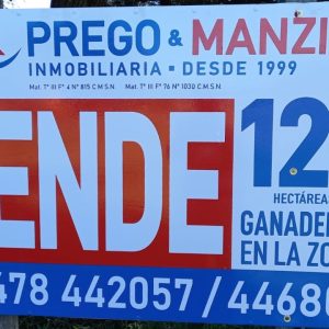 En venta: 121 hectáreas 17% agrícola, 83% ganadero Ingeniero Moneta San Pedro