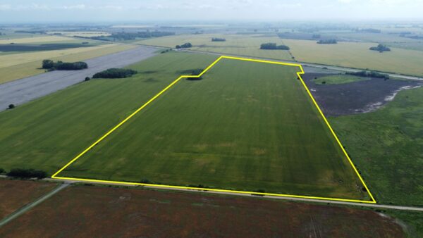 EN VENTA: 45 hectáreas agrícolas, sobre Ruta Provincial 41, a 10km de San Andrés de Giles - Imagen 7