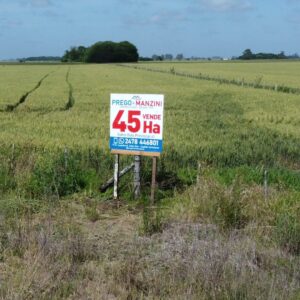 EN VENTA: 45 hectáreas agrícolas, sobre Ruta Provincial 41, a 10km de San Andrés de Giles