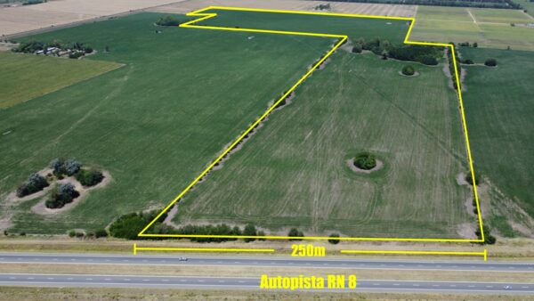 EN VENTA: 46 hectáreas agrícolas, sobre Autopista RN 8, a 6km de Solis - Imagen 3