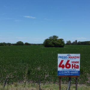 EN VENTA: 46 hectáreas agrícolas, sobre Autopista RN 8, a 6km de Solis
