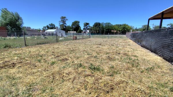 Terreno en venta, calle Cahuané entre Jorge Milicigh y Int. Horacio Tapia, Barrio La Huella, superficie 300m2 - Imagen 2