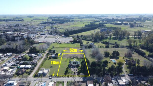 En venta loteo de 6 parcelas mas 2 quintas en un predio sobre Av. Bartolomé Mitre 1100 - Imagen 8