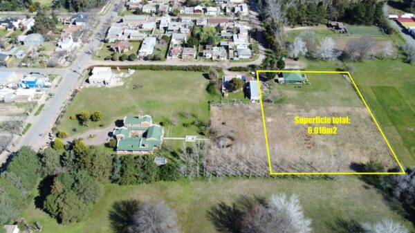 En venta loteo de 6 parcelas mas 2 quintas en un predio sobre Av. Bartolomé Mitre 1100 - Imagen 17