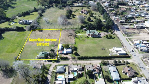En venta loteo de 6 parcelas mas 2 quintas en un predio sobre Av. Bartolomé Mitre 1100 - Imagen 19