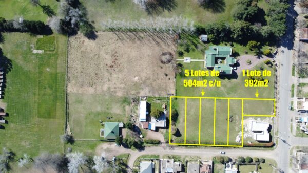 En venta loteo de 6 parcelas mas 2 quintas en un predio sobre Av. Bartolomé Mitre 1100 - Imagen 3