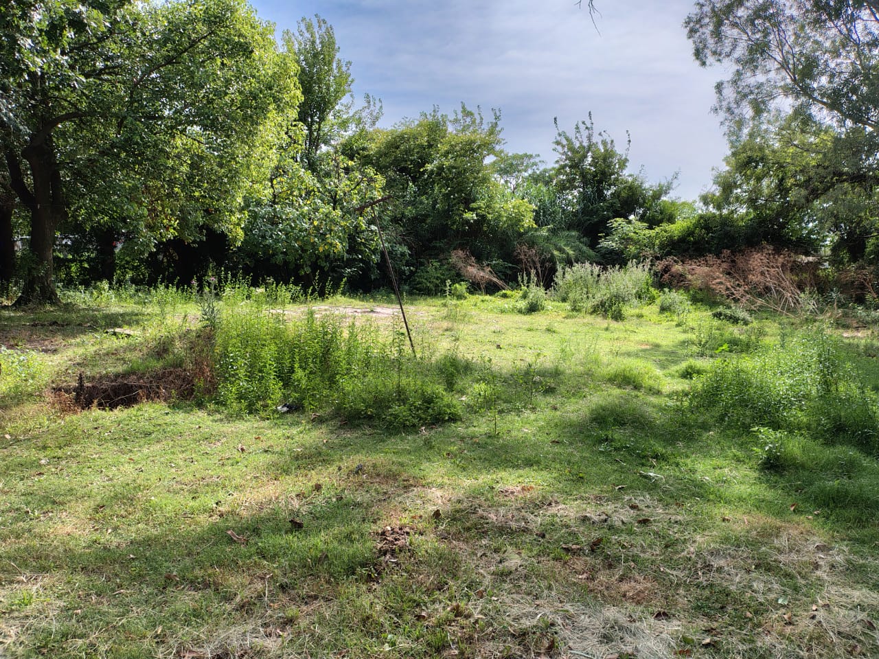 En venta casa 138mts2 cubiertos, terreno 1299m2 sobre calles General Roca 472 Carmen de Areco - Imagen 9