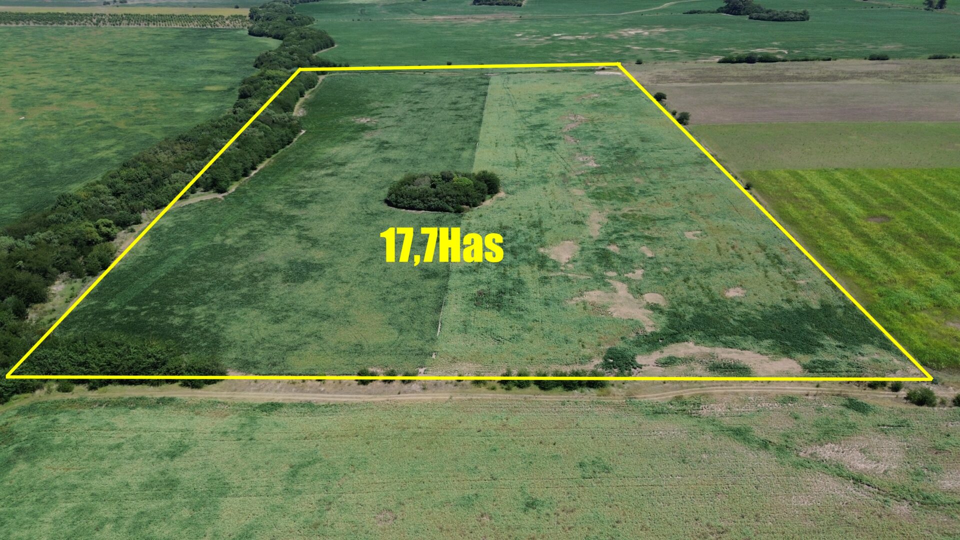 VENTA: 17,7 hectáreas agrícolas en Capitán Sarmiento a 8km de la ciudad - Imagen 2