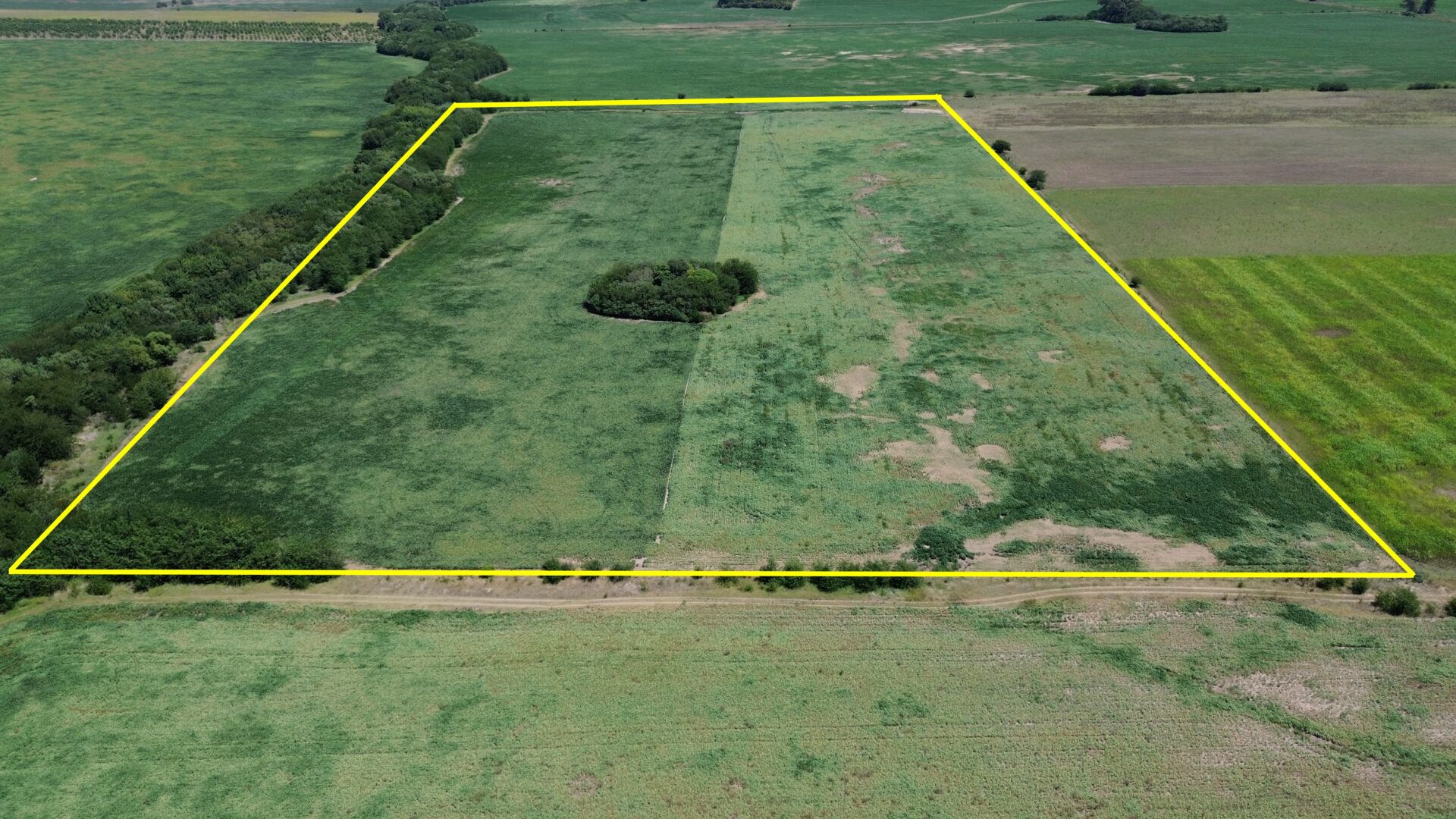 VENTA: 17,7 hectáreas agrícolas en Capitán Sarmiento a 8km de la ciudad - Imagen 3