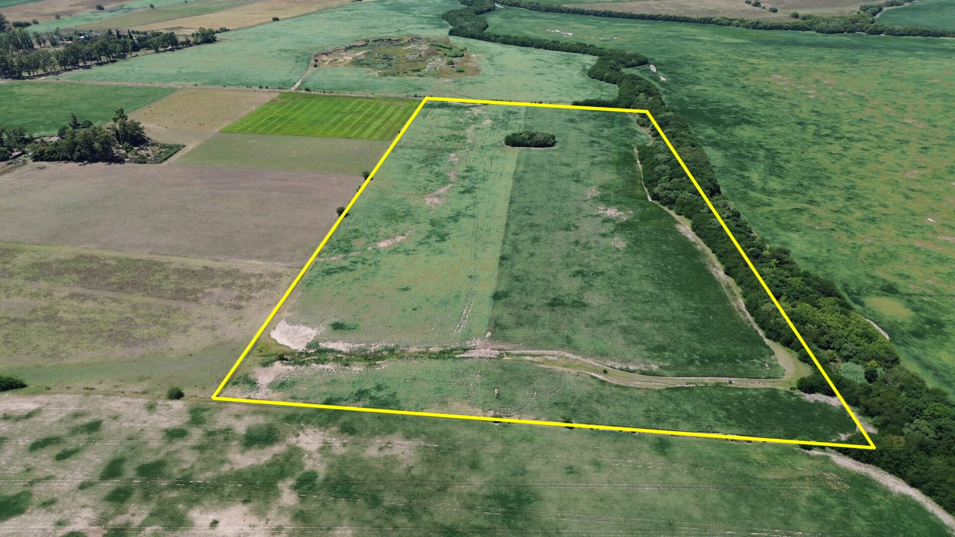 VENTA: 17,7 hectáreas agrícolas en Capitán Sarmiento a 8km de la ciudad - Imagen 5