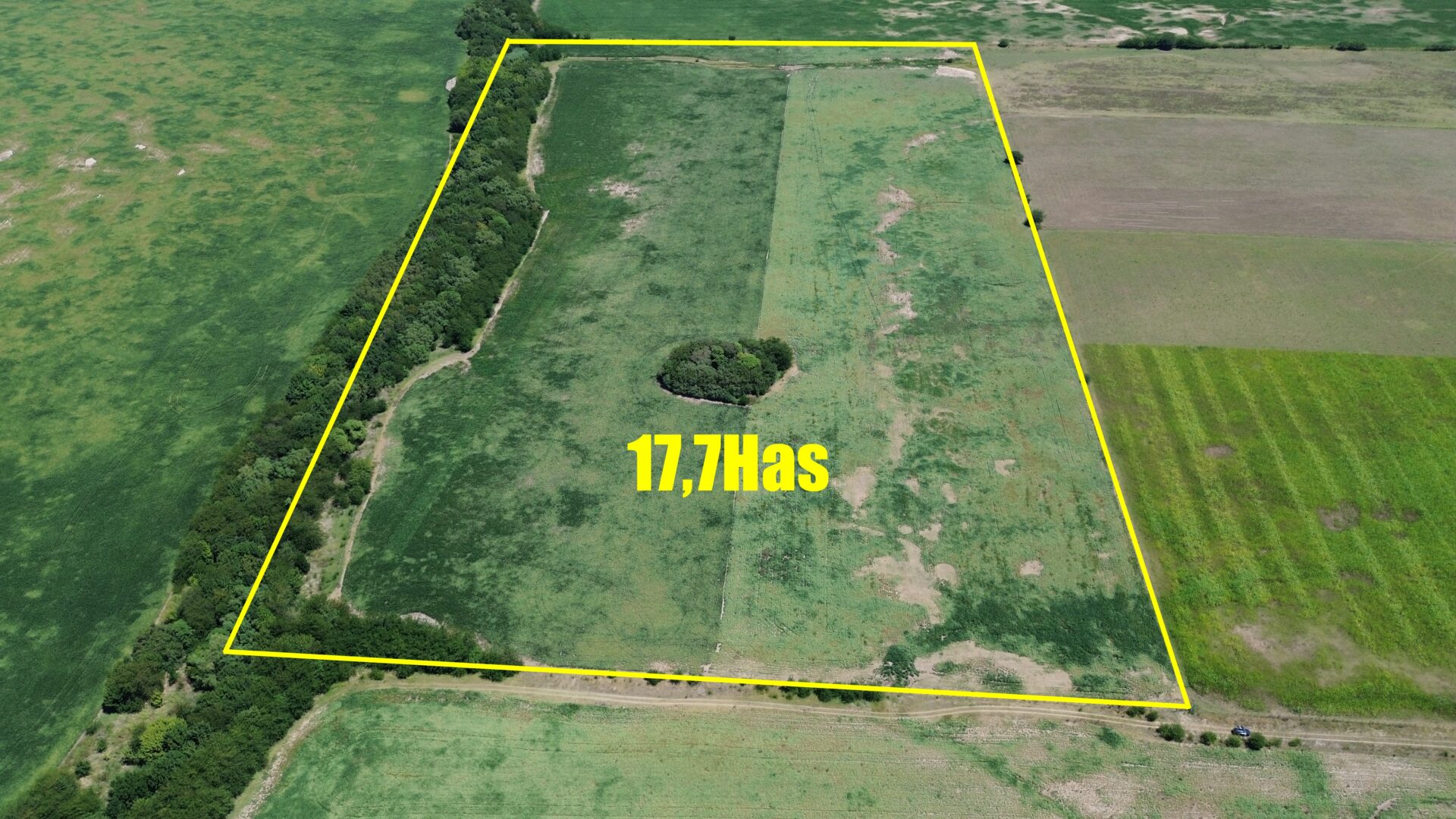 VENTA: 17,7 hectáreas agrícolas en Capitán Sarmiento a 8km de la ciudad - Imagen 6