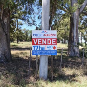 VENTA: 17,7 hectáreas agrícolas en Capitán Sarmiento a 8km de la ciudad