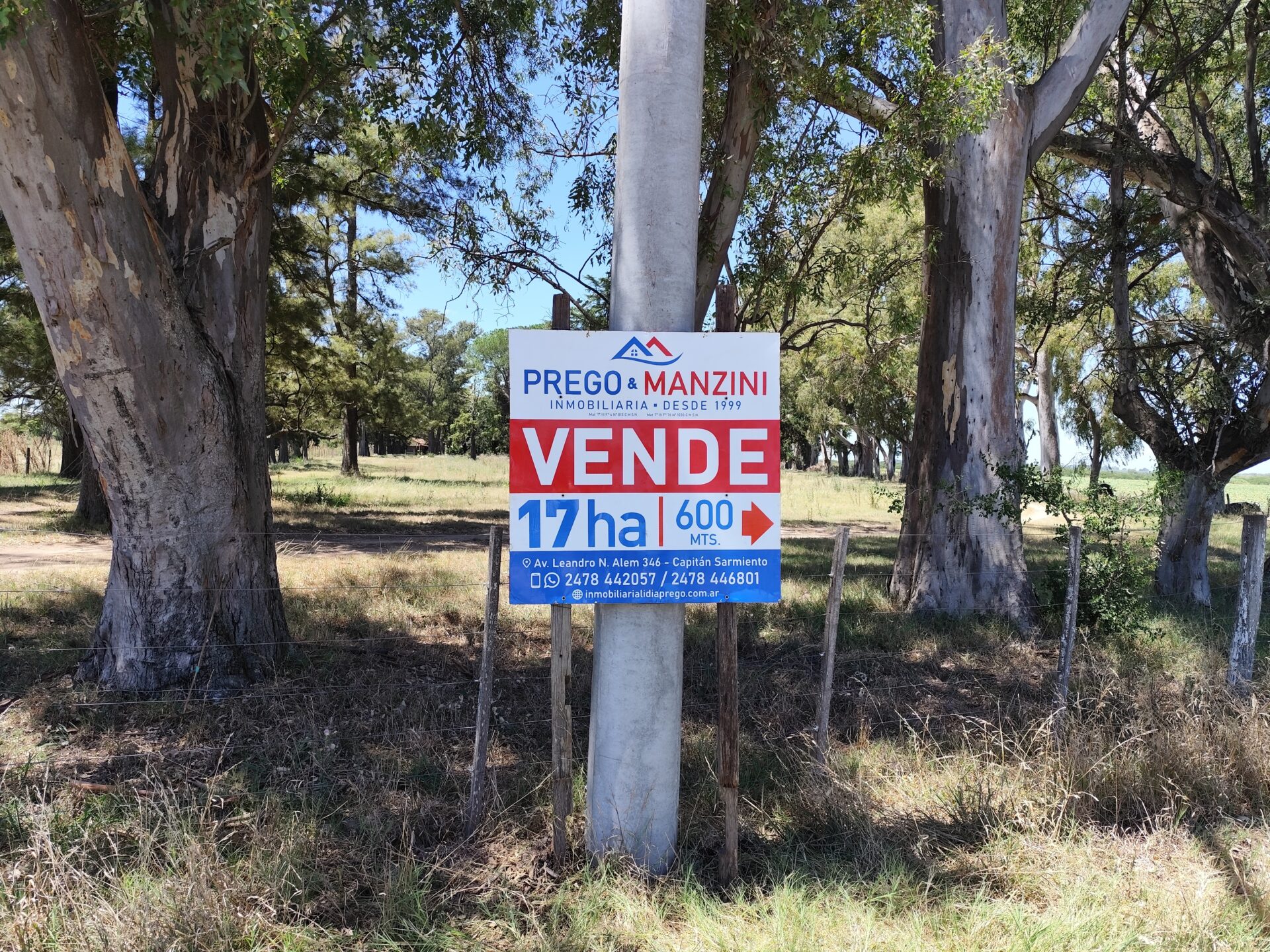 VENTA: 17,7 hectáreas agrícolas en Capitán Sarmiento a 8km de la ciudad