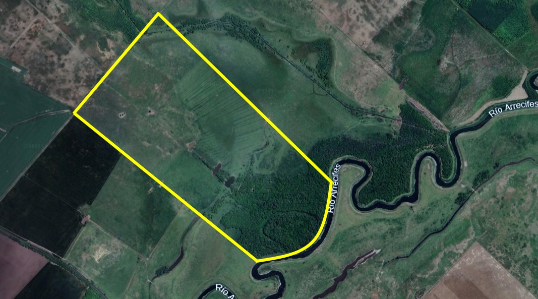 En venta: Campo Mixto 121Has en Ingeniero Moneta partido de San Pedro 83% Ganadero (Con Manga y Molino) y 17% Agrícola - Imagen 23
