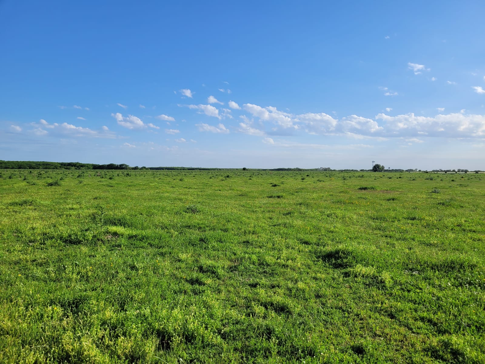 En venta: Campo Mixto 121Has en Ingeniero Moneta partido de San Pedro 83% Ganadero (Con Manga y Molino) y 17% Agrícola - Imagen 12