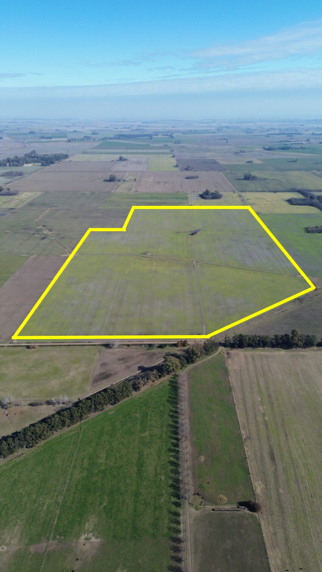 En venta: 64 hectáreas 100 % agrícola a 2,7km del asfalto en Capitán Sarmiento Buenos Aires - Imagen 2