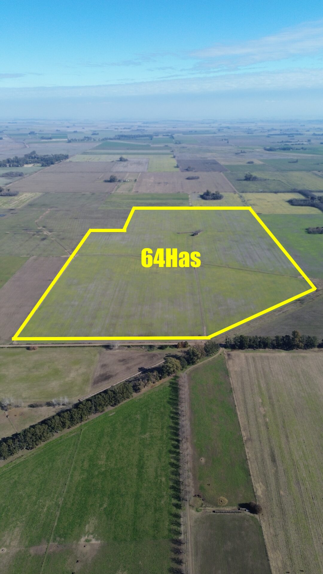En venta: 64 hectáreas 100 % agrícola a 2,7km del asfalto en Capitán Sarmiento Buenos Aires - Imagen 3