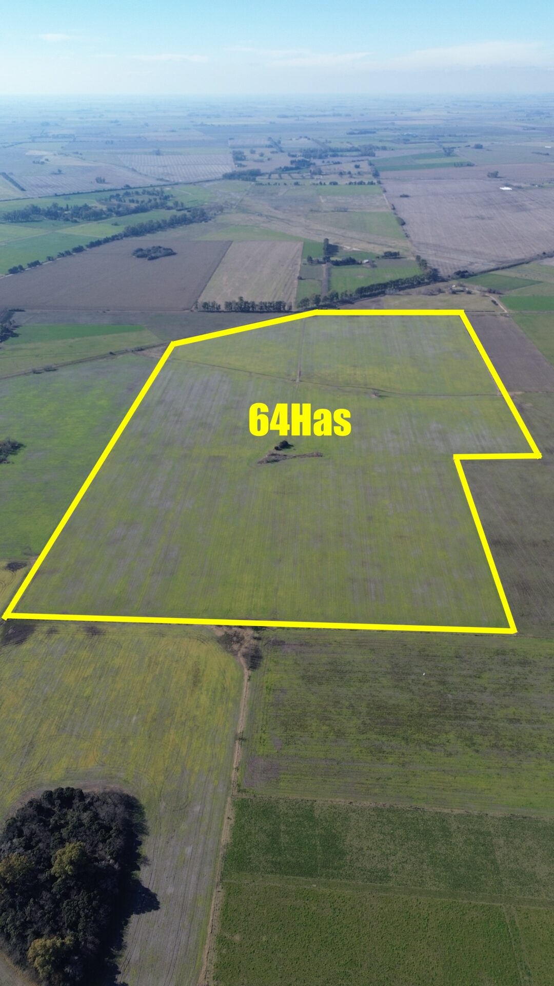 En venta: 64 hectáreas 100 % agrícola a 2,7km del asfalto en Capitán Sarmiento Buenos Aires - Imagen 6