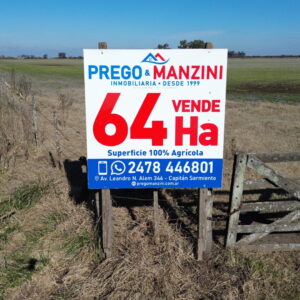 En venta: 64 hectáreas 100 % agrícola a 2,7km del asfalto en Capitán Sarmiento Buenos Aires
