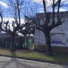 En venta casa a remodelar excelente frente 15m edificados 62mts2 sobe calle Sarmiento 202