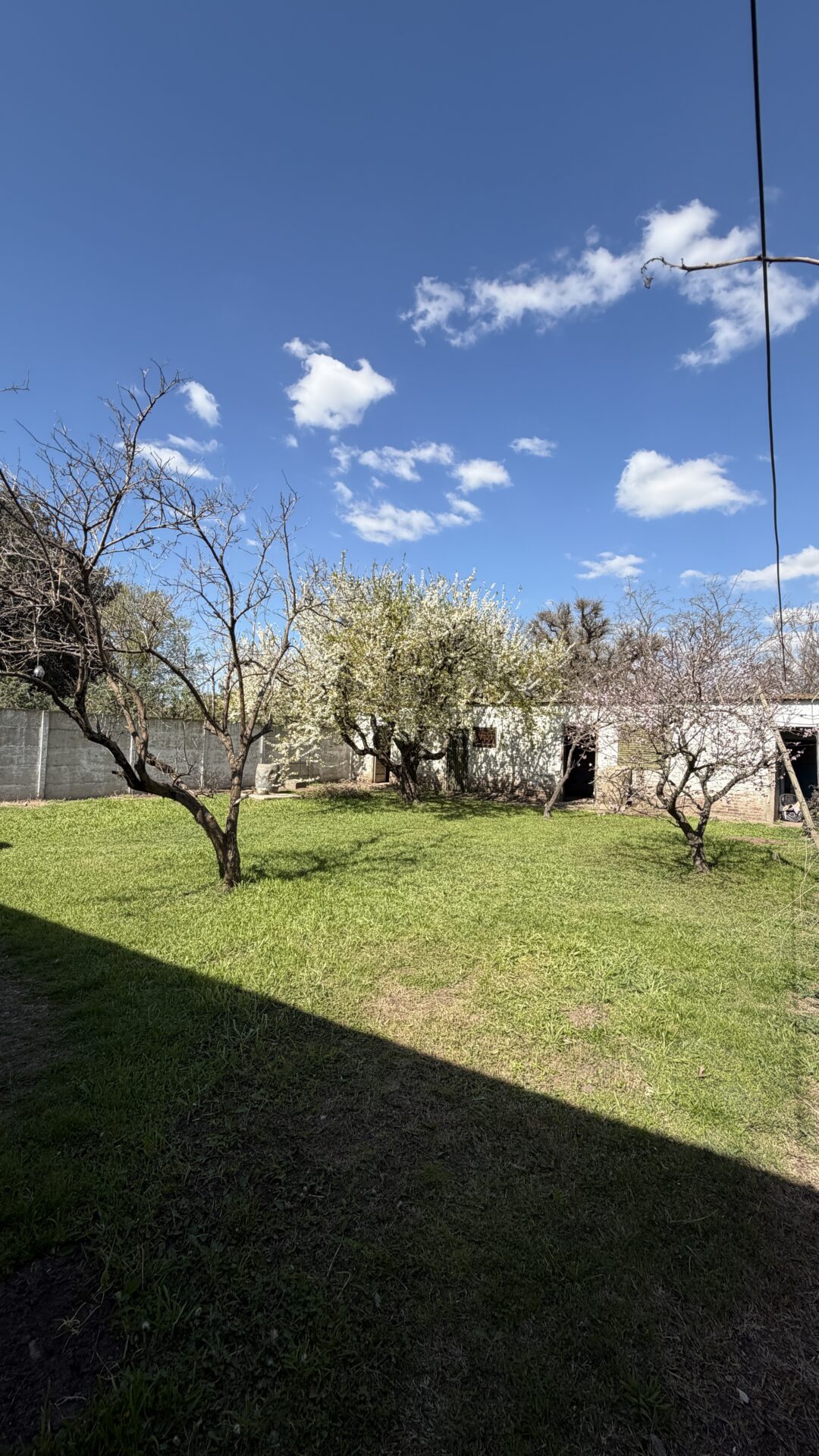 EN VENTA "Duggan" casas 155m2+ departamento 67m2 sobre un terreno 657m2, Bartolomé Mitre 585 - Imagen 7